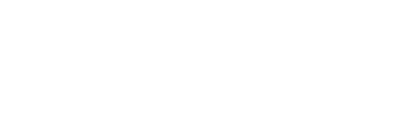  Fontan Ixtapa Hotel